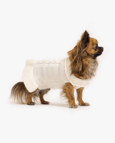 Käsmu Hundepullover
