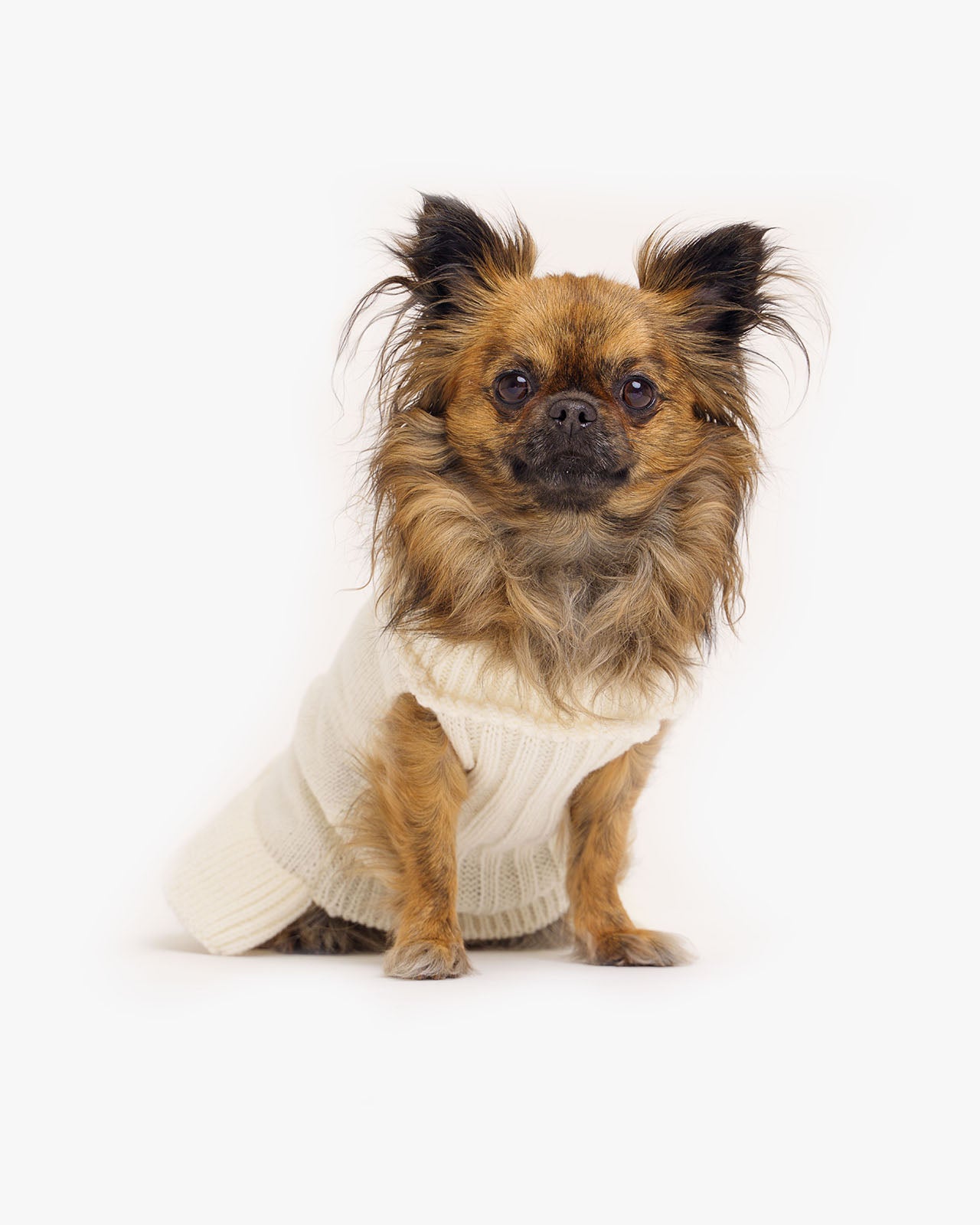 Käsmu Hundepullover