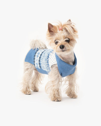 Dog's wool sweater