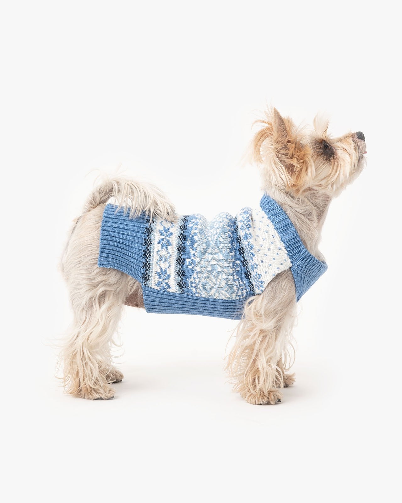 Dog's wool sweater