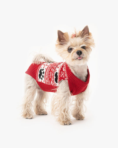 christmas dog sweater